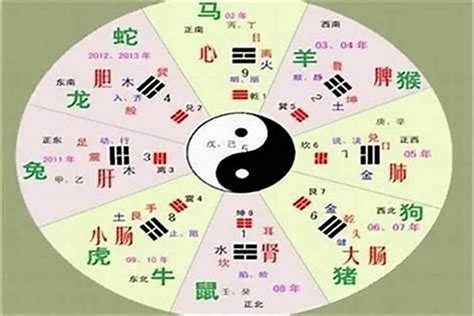 柔五行|柔的五行属什么,柔字的五行属性,柔的寓意